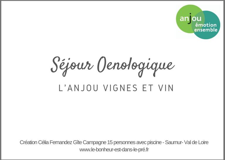 sejour vin et vignes en anjou saumur gite